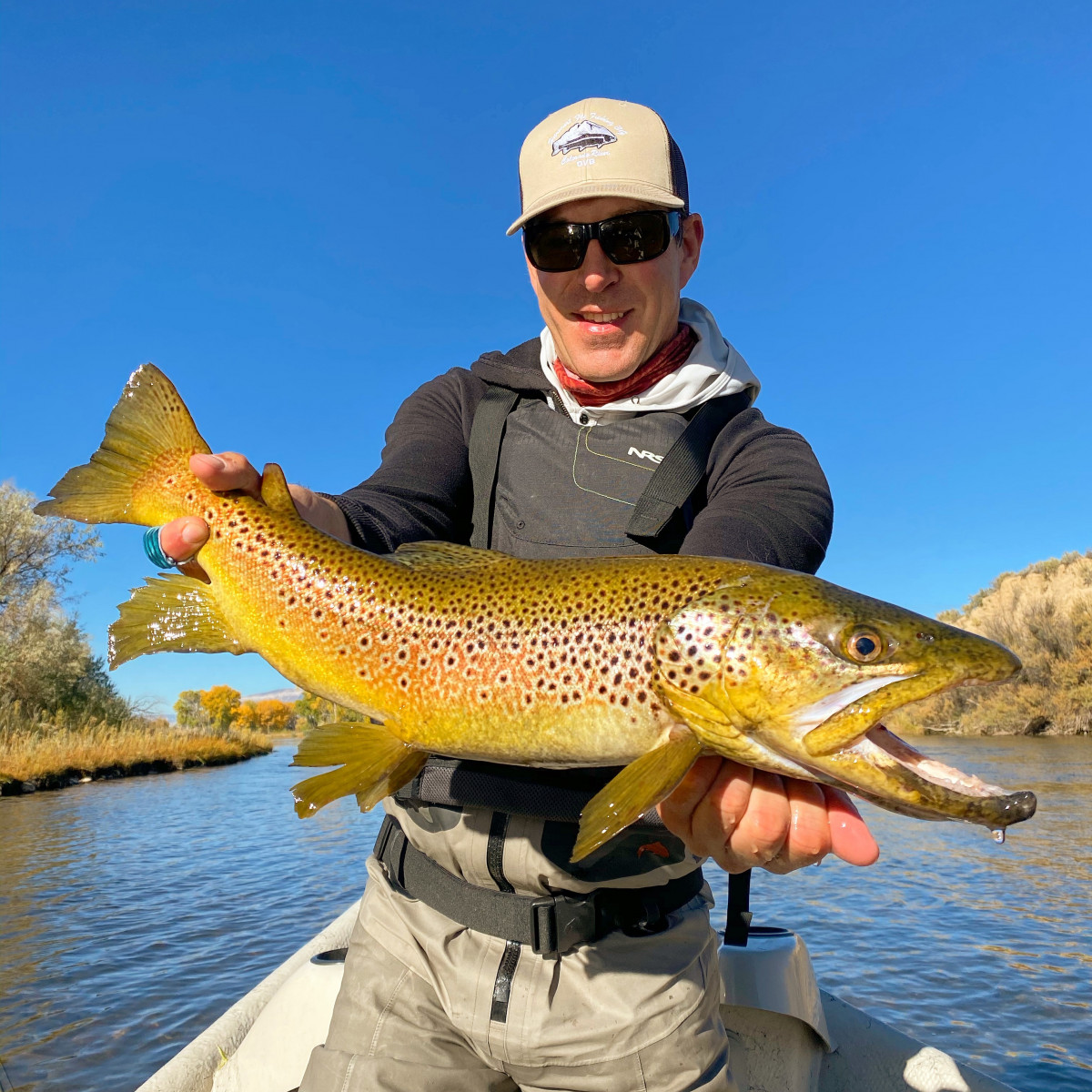 Brown-Trout-27