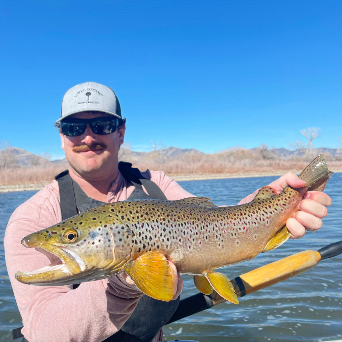 Brown_Trout20